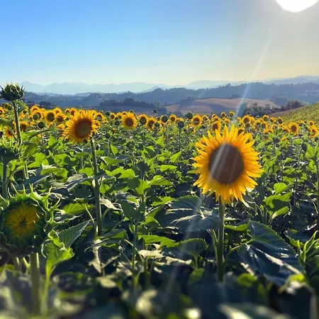 In Near Apennines Trails *